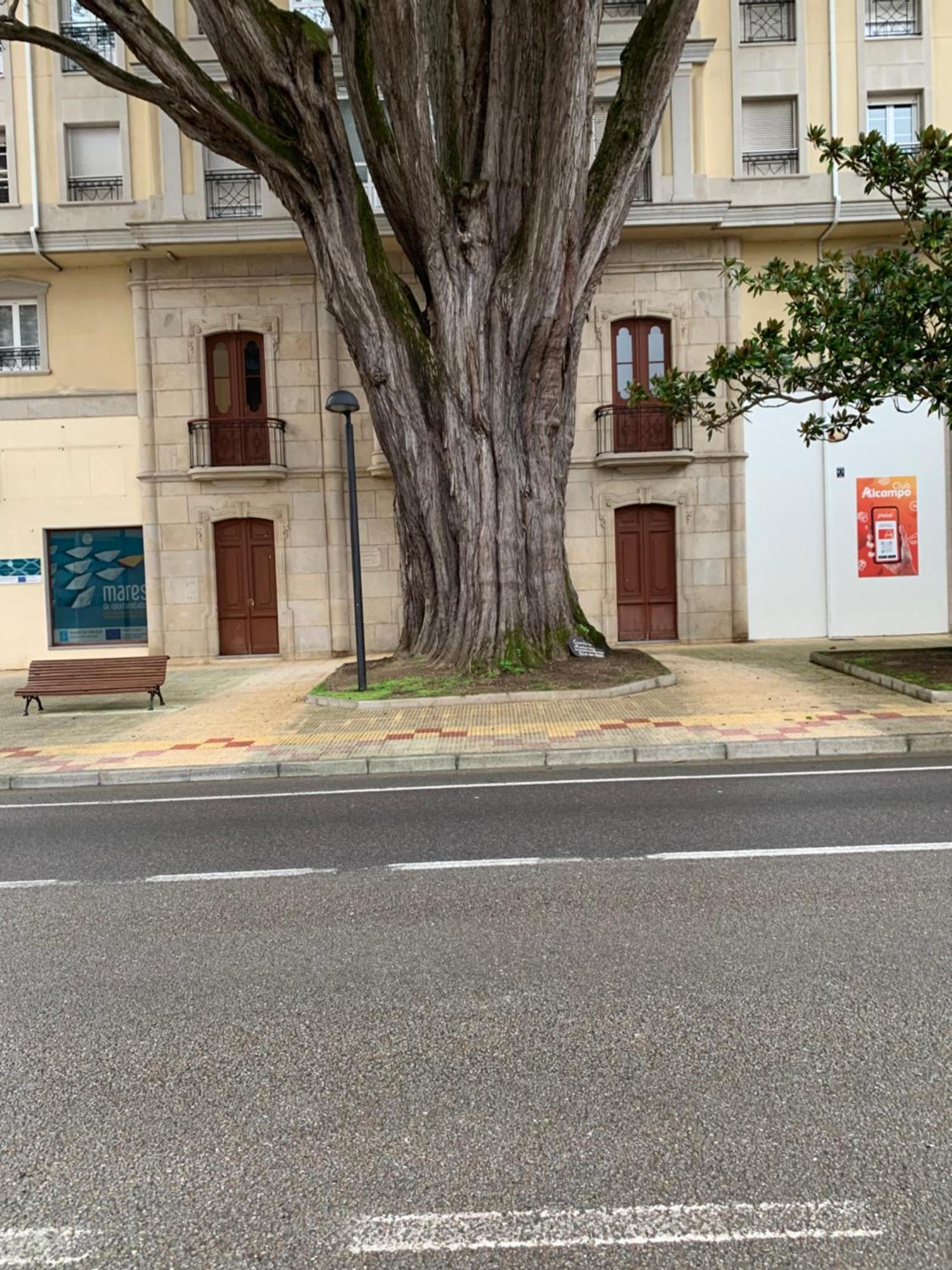 Mansion Del Indiano Daire Viveiro Dış mekan fotoğraf